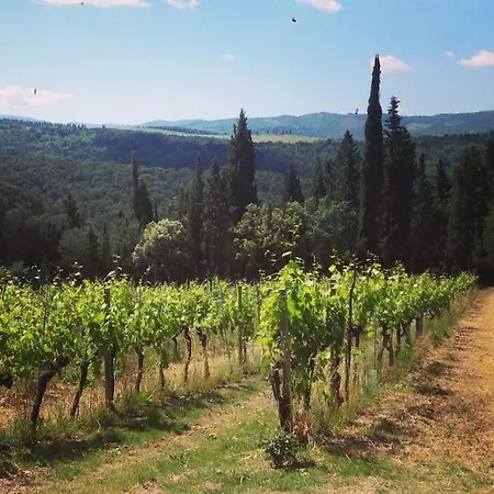 Rebecca - In In The Vineyard Holiday home *