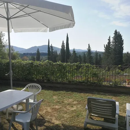 Rebecca - In In The Vineyard